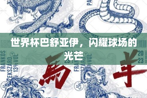 世界杯巴舒亚伊，闪洪湖市顺升工程机械租赁有限公司耀球场的光芒
