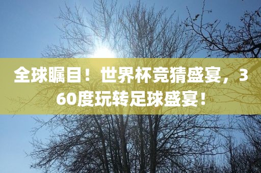 全球瞩目！世界杯竞猜盛宴，360度玩转足球盛宴！洪湖市顺升工程机械租赁有限公司