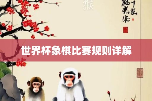 比赛规则详解