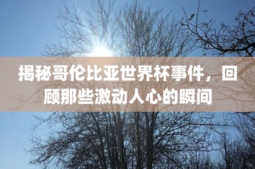 揭秘哥伦比亚世界杯事件，回顾那些激动人心的瞬间洪湖市顺升工程机械租赁有限公司