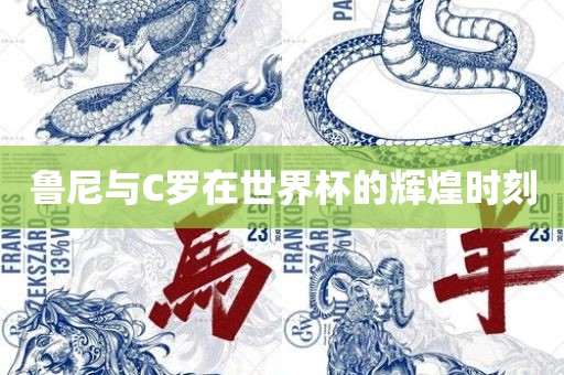 鲁尼与C罗在世界杯的辉煌时刻洪湖市顺升工程机械租赁有限公司