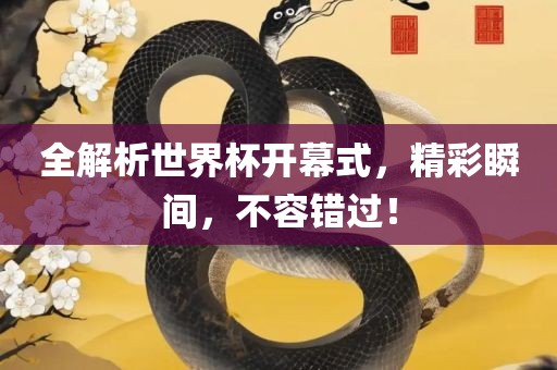 精彩瞬间 第2页