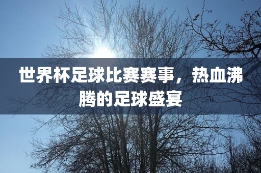 世界杯足球比赛赛事，热血沸腾的足球盛宴