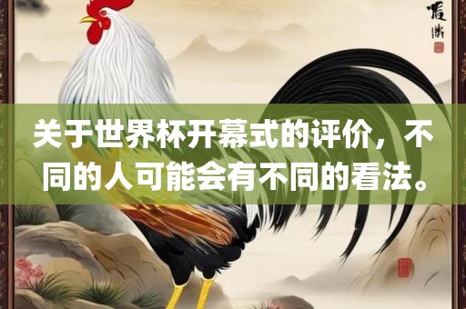 关于世界杯开幕式的评价，不同的人可能会有不同的看法。