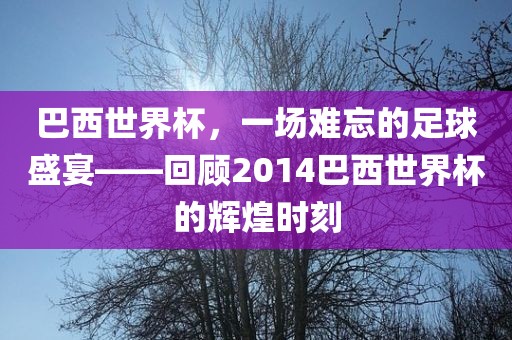 足球盛宴 第7页