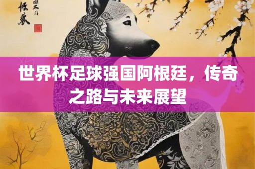 世界杯足球强国阿根廷，传奇之路与未来展望