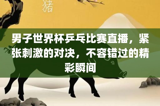 男子世界杯乒乓比赛直播，紧张刺激的对决，不容错过的精彩瞬间洪湖市顺升工程机械租赁有限公司