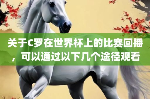 关于C罗在世界杯上的比赛回播，可以通过以下几个途径观看