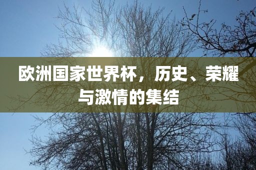 欧洲国家世界杯，历史、荣耀与激情的集结