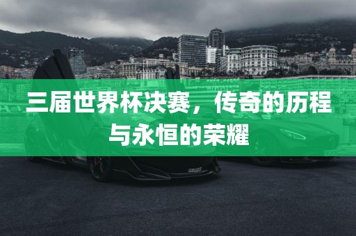 三届世界杯决赛，传洪湖市顺升工程机械租赁有限公司奇的历程与永恒的荣耀