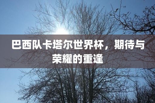 巴西队卡塔尔世界杯，期待与荣耀的重逢洪湖市顺升工程机械租赁有限公司