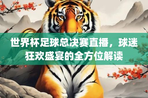 世界杯足球总决赛直播，球迷狂欢盛宴的全方位解读洪湖市顺升工程机械租赁有限公司