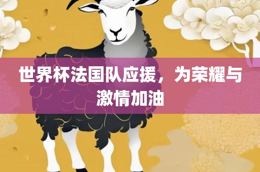 世界杯法国队应援，为荣耀与激情加油