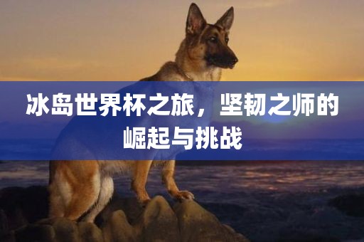 冰岛世界杯之旅，坚韧之师的崛起与挑战