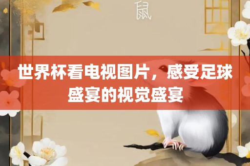 世界杯看电视图片，感受足球盛宴的视觉盛宴