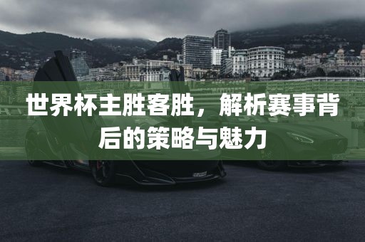 世界杯主胜客胜，解析赛事背后的策略与魅力洪湖市顺升工程机械租赁有限公司
