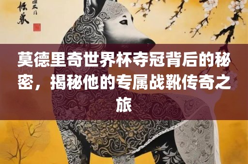 莫德里奇世界杯夺冠背后的秘密，揭秘他的专属战靴传奇之旅洪湖市顺升工程机械租赁有限公司