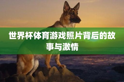 世界杯体育游戏照片背后的故事与激情