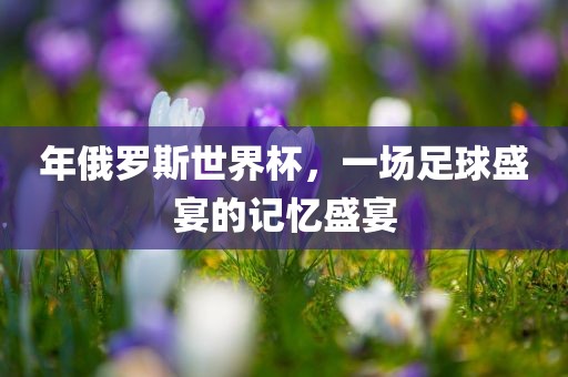 年俄罗斯世界杯，一场足球盛宴的记忆盛宴