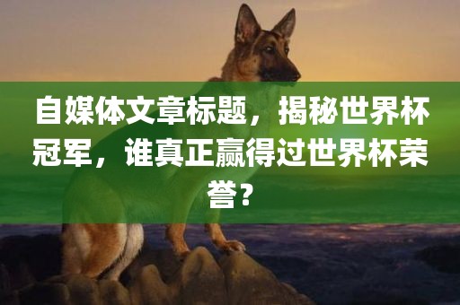 自媒体文章标题，揭秘世界杯冠军，谁真正赢得过世界杯荣誉？洪湖市顺升工程机械租赁有限公司