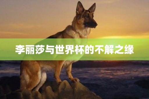 李丽莎与世界杯的不解之缘