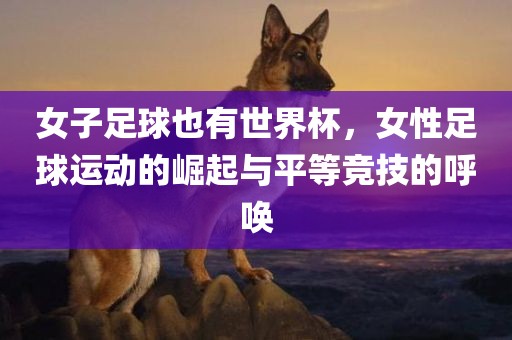 女子足球也有世界杯，女性足球运动的崛起与平等竞技的呼唤