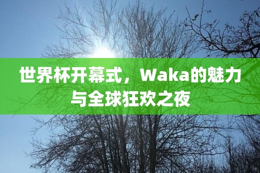 世界杯开幕式，Waka的魅力与全球狂欢之夜