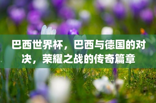 巴西世界杯，巴西与德国的对决，荣耀之战的传奇篇章洪湖市顺升工程机械租赁有限公司