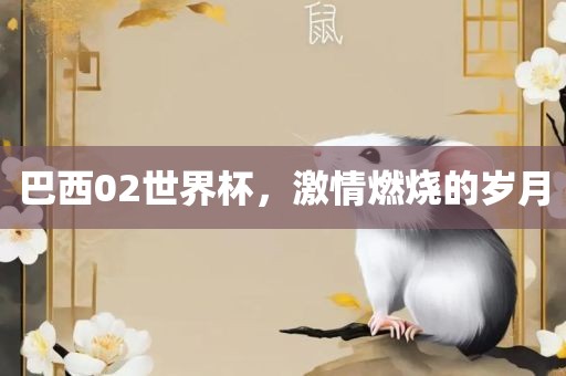 巴西02世界杯，激情燃烧的岁月