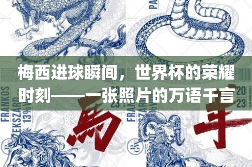 梅西进球瞬间，世界杯的荣耀时刻——一张照片的万语千言