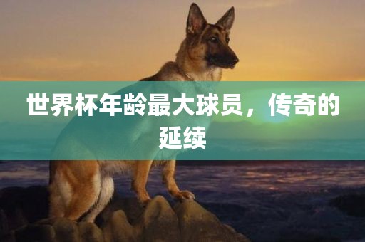 世界杯年龄最大球员，传奇的延续