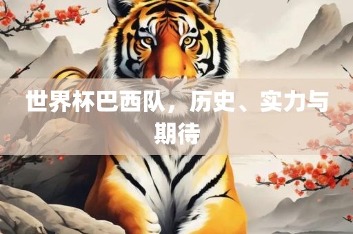 世界杯巴西队，历史、实力与期待