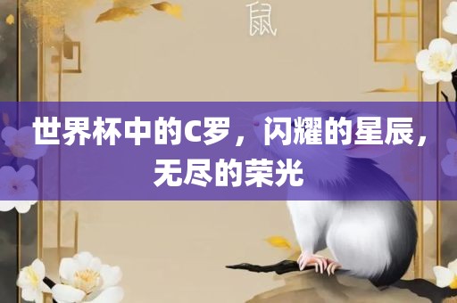 世界杯中的C罗，闪耀的星辰，洪湖市顺升工程机械租赁有限公司无尽的荣光