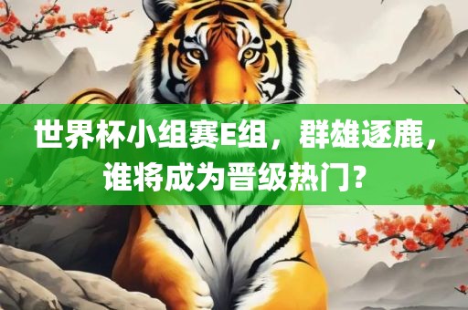 世界杯小组赛E组，群雄逐鹿，谁将成为晋级热门？