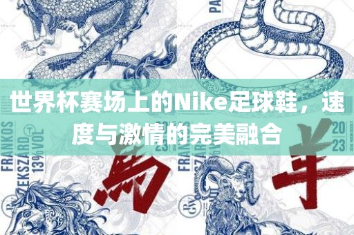 世界杯赛场上的Nike足球鞋，速度与激情的完美融合洪湖市顺升工程机械租赁有限公司