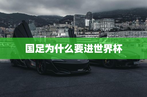 国足为什么要进世界杯
