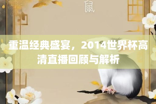 重温经典盛宴，2014世界杯高清直播回顾与解析