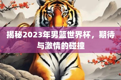揭秘2023年男篮世界杯，期待与激情的碰撞