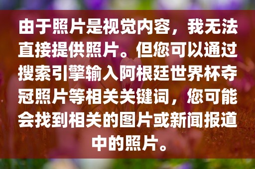 由于照片是视觉内容，我无法直接提供照片。但您可以通过搜索引擎输入阿根廷世界杯夺冠照片等相关关键词，您可能会找到相关的图片或新闻报道中的照片。洪湖市顺升工程机械租赁有限公司