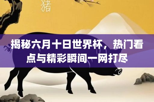 揭秘六月十日世界杯，热门看点与精彩瞬间一网打尽