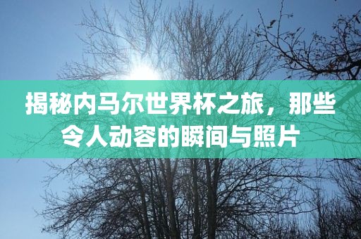 揭秘内马尔世界杯之旅，那些令人动容的瞬间与照片洪湖市顺升工程机械租赁有限公司