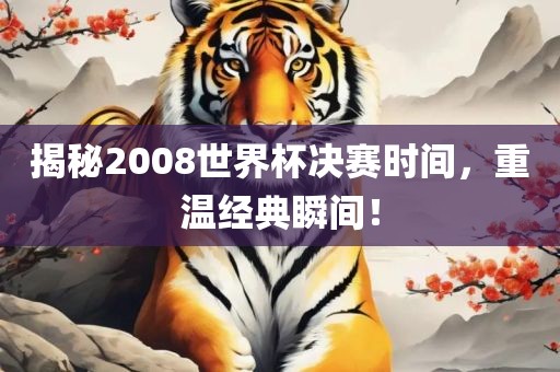 揭秘2008世界杯决赛时间，重温经典瞬间！
