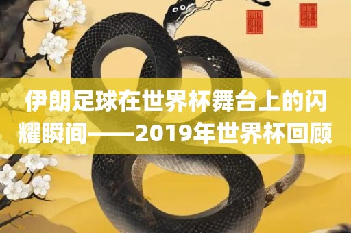 伊朗足球在世界杯舞台上的闪耀瞬间——2019年世界杯回顾