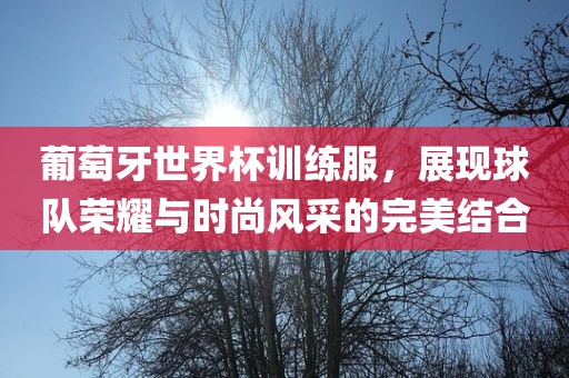 葡萄牙世界杯训练服，展现球队荣耀与时尚风采的完美结合洪湖市顺升工程机械租赁有限公司