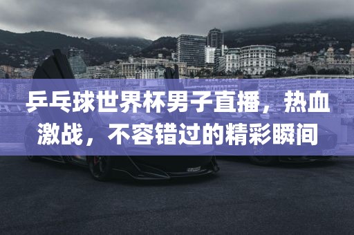 乒乓球世界杯男子直播，热血激战，不容错过的精彩瞬间洪湖市顺升工程机械租赁有限公司