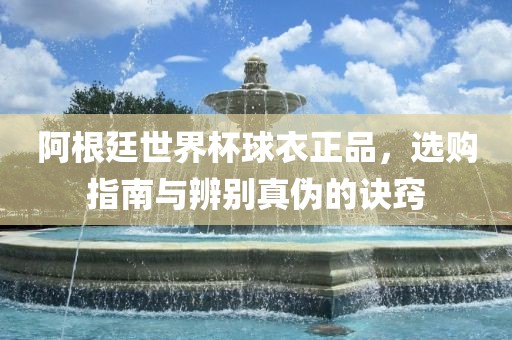 阿根廷世界杯球衣正品，选购指南与辨别真伪的诀窍洪湖市顺升工程机械租赁有限公司