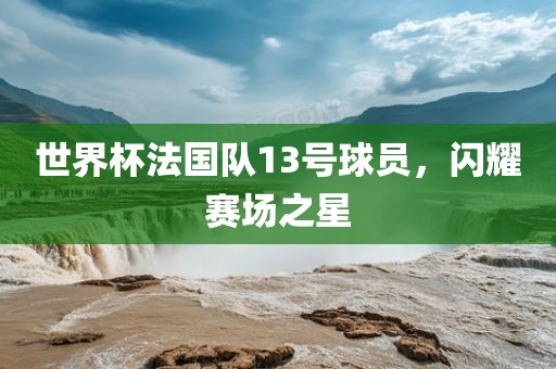 世界杯法国队13号球员，闪耀赛场之星