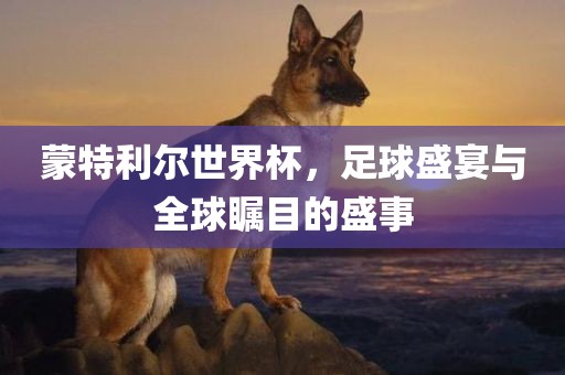 蒙特利尔世界杯，足球盛宴与全球瞩目的盛洪湖市顺升工程机械租赁有限公司事