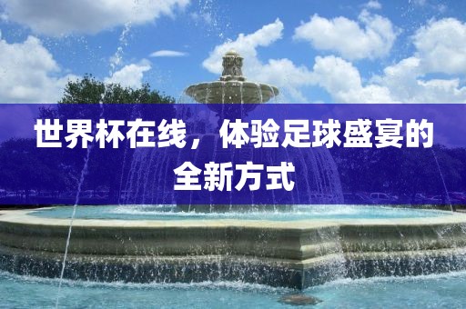 世界杯在线，体验足球盛宴的全新方式洪湖市顺升工程机械租赁有限公司