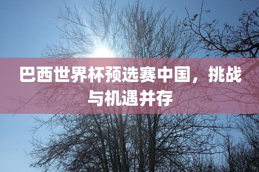 巴西世界杯预选赛中国，挑战与机遇并存